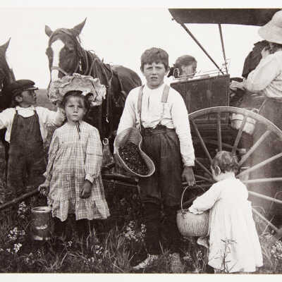 The Berry Pickers