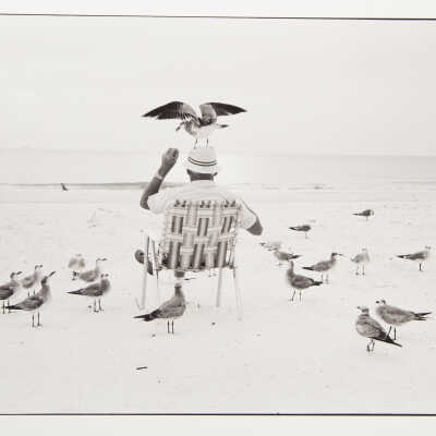 Man with Gulls, Fort Myers Beach, Florida