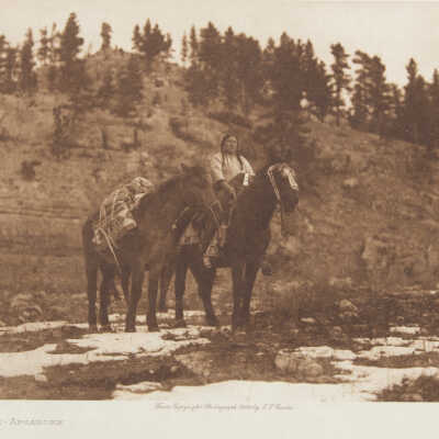 Packhorse - Apsaroke
