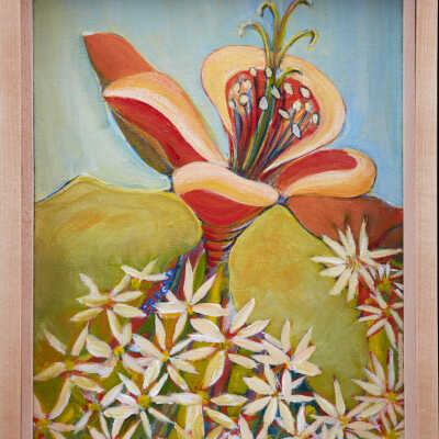 Meadow Lily