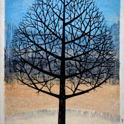 Dormant Tree