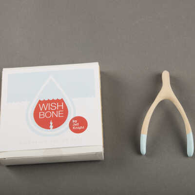 Wishbone Project