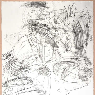 She Flesh Study
