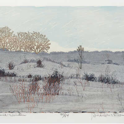 Mid-Winter
