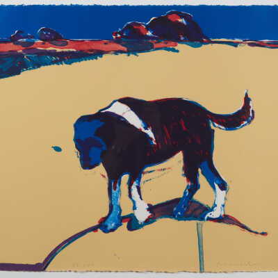Walking Dog