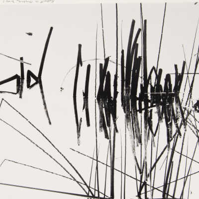 Reeds in Pond Near San Juan Baptista, CA