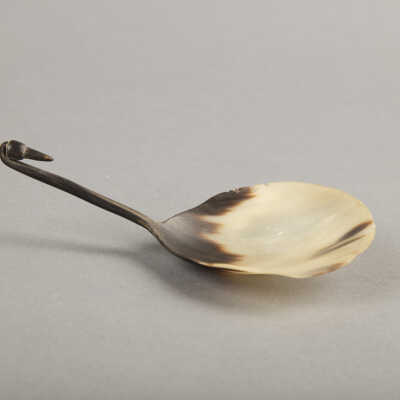 Horn Spoon with Bird Head Handle