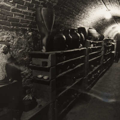 Storage in Root Cellar