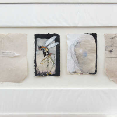 Letter to Persephone, Lilac