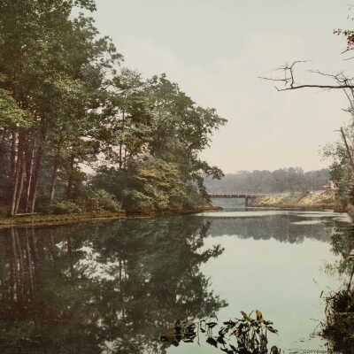 The Bronx River in Bronx Park, New York City