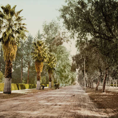Magnolia Avenue, Riverside