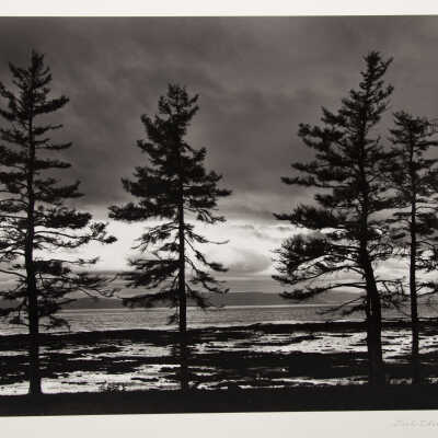 Five Firs and the St. Lawrence, Gaspe