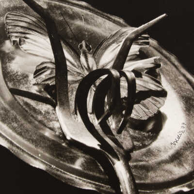 Untitled (fork, butterfly)