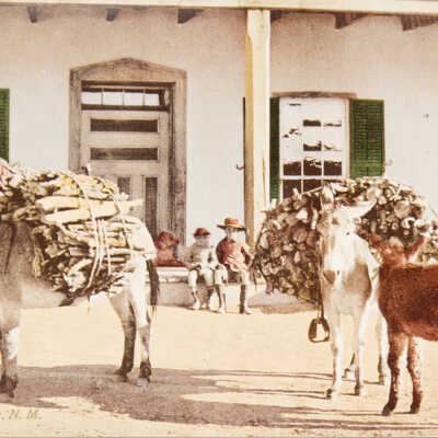 Packing Wood, Santa Fe, N.M.