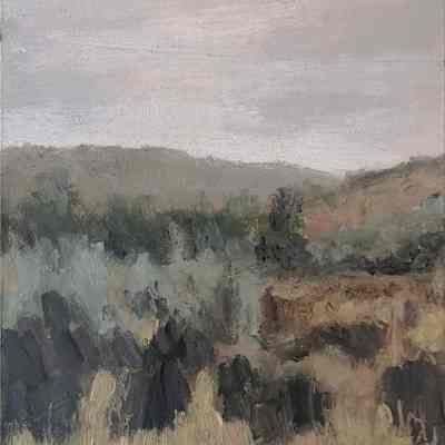 Dry Mist /