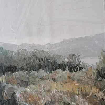 Soft Fynbos
