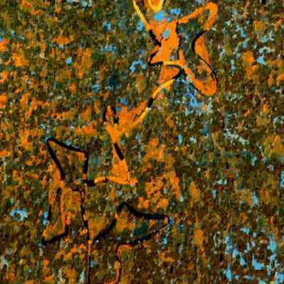 Somewhere - Sumbandila satellite perspectives 10
