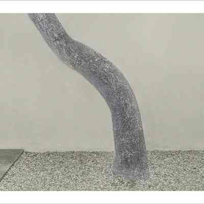 Bent Tree