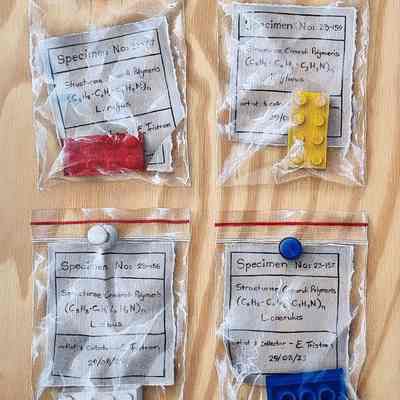 Specimens