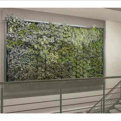 Living Wall