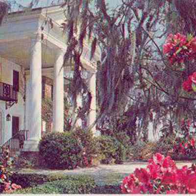 Boone Hall Plantation, Near Charleston, S.C.