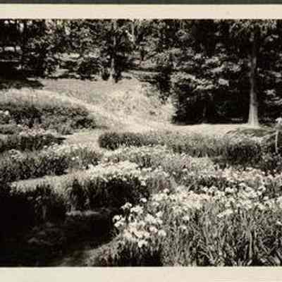 Photo Album Page 46