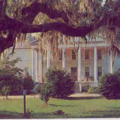 Hampton Plantation, Coastal South Carolina