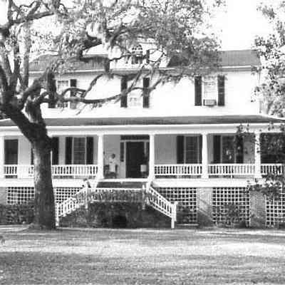 Chicora Wood