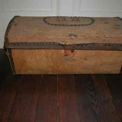 Trunk