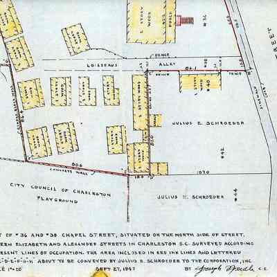 Plat of #36 and #38 Chapel Street, Situated on the North Side of Street, Between Elizabeth and Alexander Streets...Surveyed According to Present Lines of Occupation...