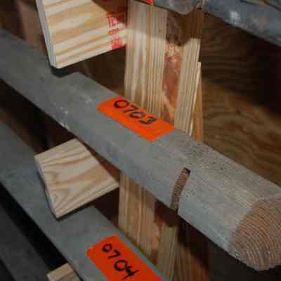 Wood Rail