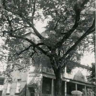 29 Charlotte Street (Cunningham-Gordon House)
