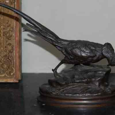 Pheasant