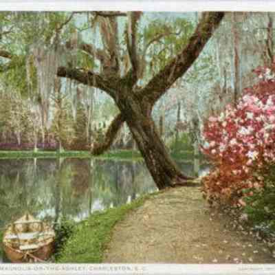The Lake, Magnolia-on-the-Ashley, Charleston, S.C.