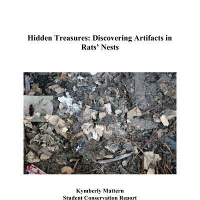 Hidden Treasures: Discovering Artifacts in Rats' Nests