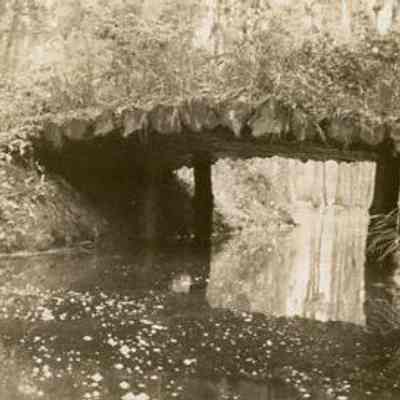 Cypress Gardens Scenes