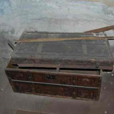 Trunk