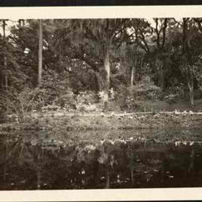 Photo Album Page 58