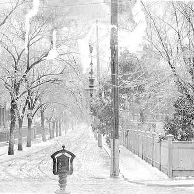 Looking North on Logan Street at Tradd Street