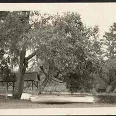 Photo Album Page 38