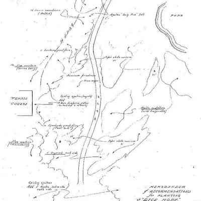 Memorandum of Recommendations for Planting at Rice Hope