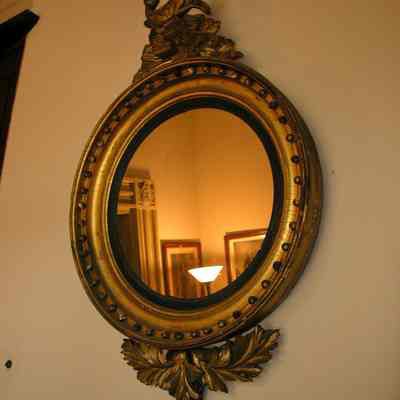 Convex Mirror with Hippocampus