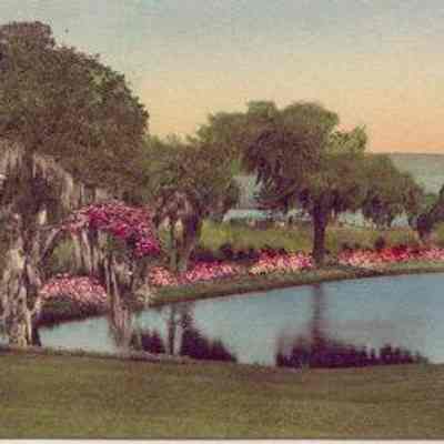 Middleton Place Gardens