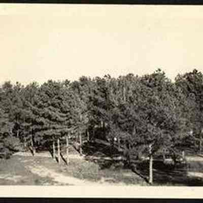 Photo Album Page 7