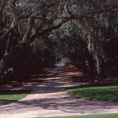 Vanderhorst House on Kiawah Island