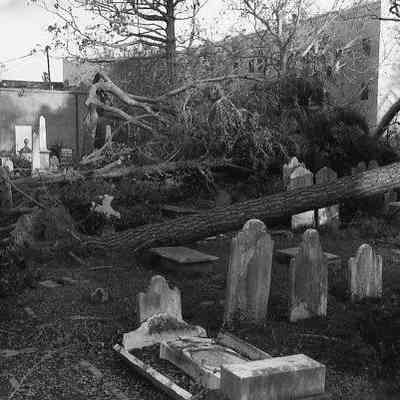 Church Graveyard After Hurricane Hugo