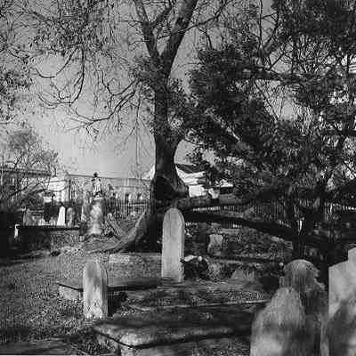 Church Graveyard After Hurricane Hugo
