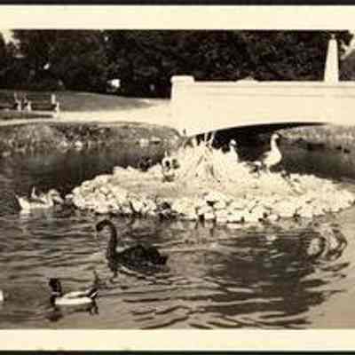 Photo Album Page 32