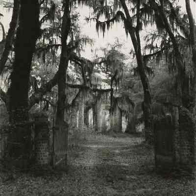 Entrance to Old Sheldon Church