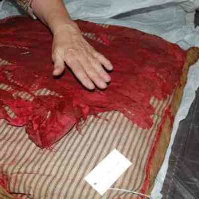 Shattered Red Silk Cushion Over Ticking
